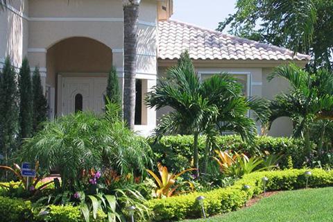 Tropical landscape design in Miami